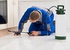 Pest control