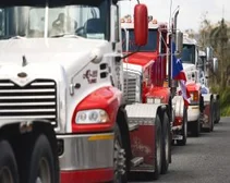 Line of trucks