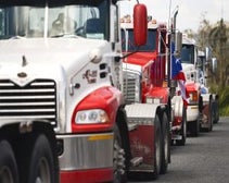 Line of trucks