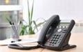 standard telephonique